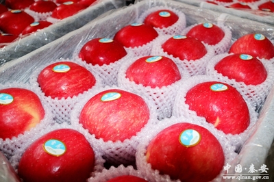 秦安:電子商務(wù)成為脫貧攻堅新&ldquo;引擎&rdquo;(圖)